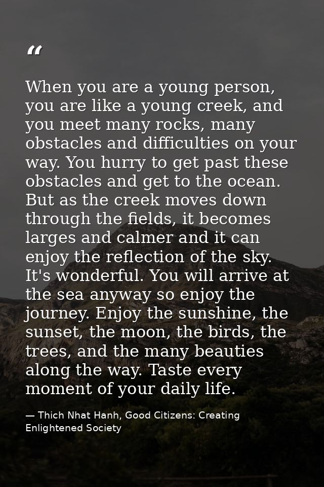 When you are a young person, you are like a young creek, and you meet many rocks, many obstacles and difficulties on you — Thich Nhat Hanh, Good Citizens: Creating Enlightened Society