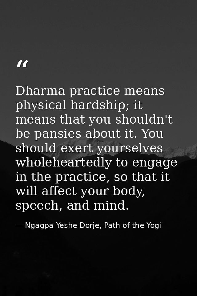 Dharma practice means physical hardship; it means that you shouldn't be pansies about it. You should exert yourselves wh — Ngagpa Yeshe Dorje, Path of the Yogi