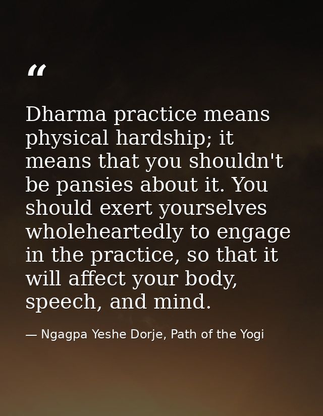 Dharma practice means physical hardship; it means that you shouldn't be pansies about it. You should exert yourselves wh — Ngagpa Yeshe Dorje, Path of the Yogi