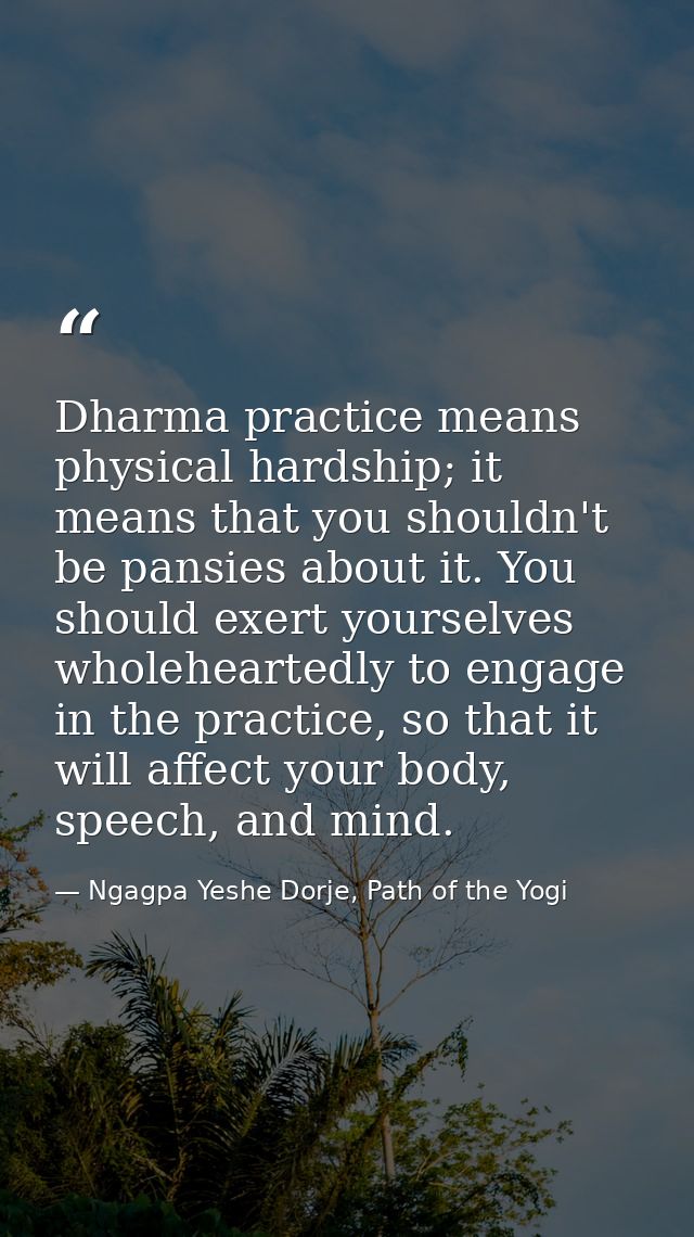 Dharma practice means physical hardship; it means that you shouldn't be pansies about it. You should exert yourselves wh — Ngagpa Yeshe Dorje, Path of the Yogi