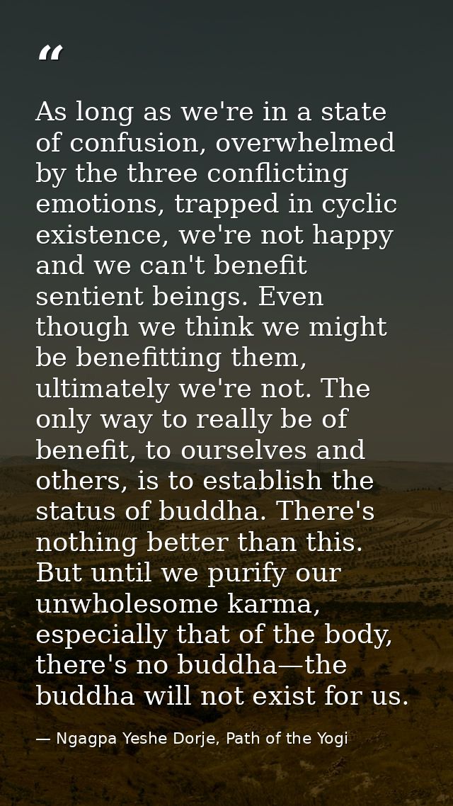 As long as we're in a state of confusion, overwhelmed by the three conflicting emotions, trapped in cyclic existence, we — Ngagpa Yeshe Dorje, Path of the Yogi