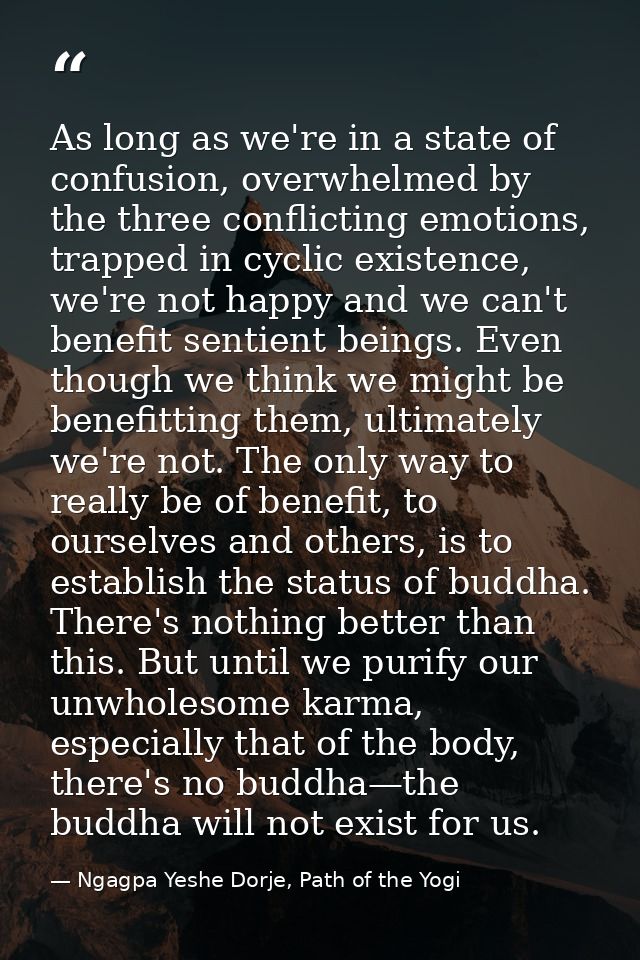 As long as we're in a state of confusion, overwhelmed by the three conflicting emotions, trapped in cyclic existence, we — Ngagpa Yeshe Dorje, Path of the Yogi