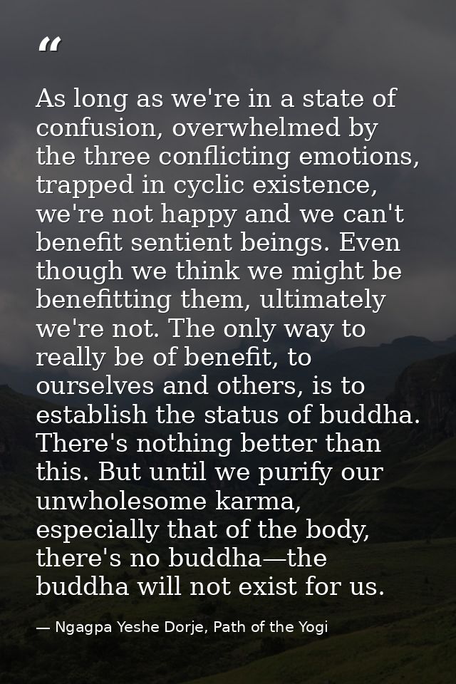 As long as we're in a state of confusion, overwhelmed by the three conflicting emotions, trapped in cyclic existence, we — Ngagpa Yeshe Dorje, Path of the Yogi