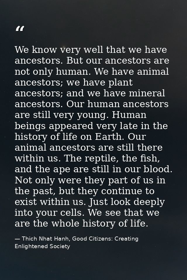 We know very well that we have ancestors. But our ancestors are not only human. We have animal ancestors; we have plant  — Thich Nhat Hanh, Good Citizens: Creating Enlightened Society