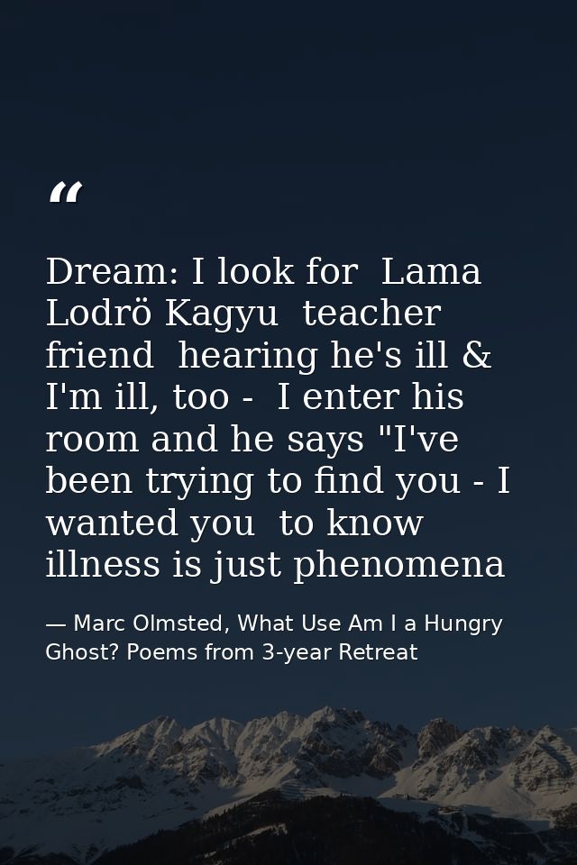 Dream: I look for  Lama Lodrö Kagyu  teacher friend  hearing he's ill & I'm ill, too -  I enter his room and he says "I' — Marc Olmsted, What Use Am I a Hungry Ghost? Poems from 3-year Retreat