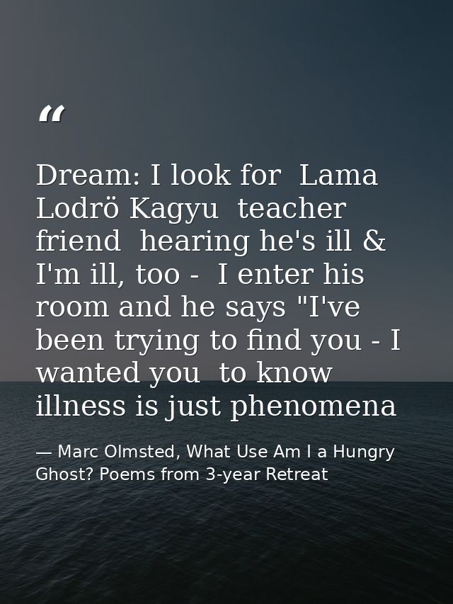 Dream: I look for  Lama Lodrö Kagyu  teacher friend  hearing he's ill & I'm ill, too -  I enter his room and he says "I' — Marc Olmsted, What Use Am I a Hungry Ghost? Poems from 3-year Retreat