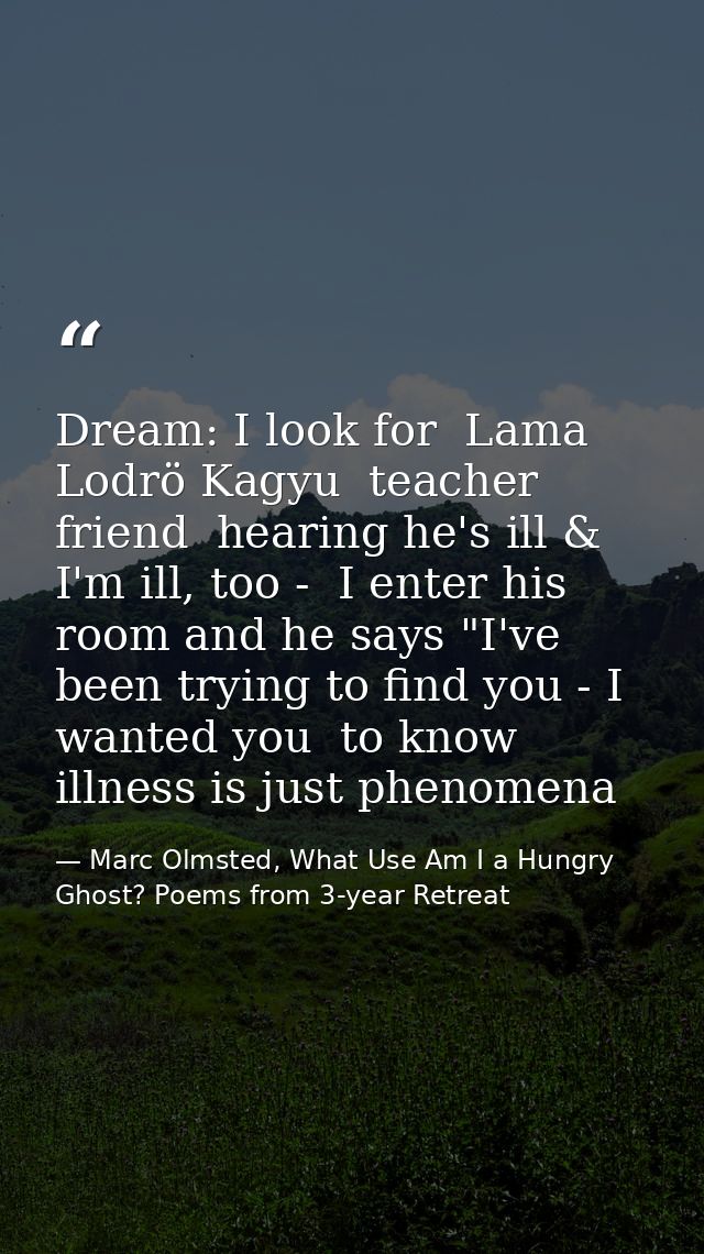 Dream: I look for  Lama Lodrö Kagyu  teacher friend  hearing he's ill & I'm ill, too -  I enter his room and he says "I' — Marc Olmsted, What Use Am I a Hungry Ghost? Poems from 3-year Retreat