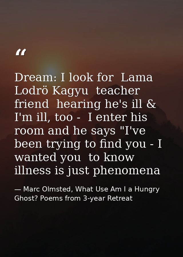 Dream: I look for  Lama Lodrö Kagyu  teacher friend  hearing he's ill & I'm ill, too -  I enter his room and he says "I' — Marc Olmsted, What Use Am I a Hungry Ghost? Poems from 3-year Retreat