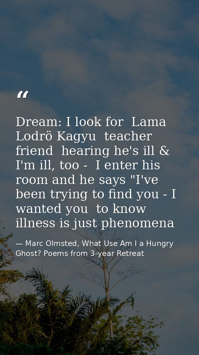 Dream: I look for  Lama Lodrö Kagyu  teacher friend  hearing he's ill & I'm ill, too -  I enter his room and he says "I' — Marc Olmsted, What Use Am I a Hungry Ghost? Poems from 3-year Retreat