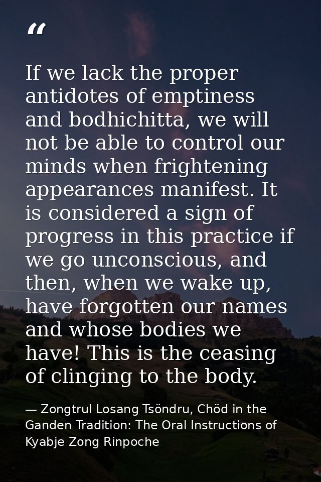 If we lack the proper antidotes of emptiness and bodhichitta, we will not be able to control our minds when frightening  — Zongtrul Losang Tsöndru, Chöd in the Ganden Tradition: The Oral Instructions of Kyabje Zong Rinpoche