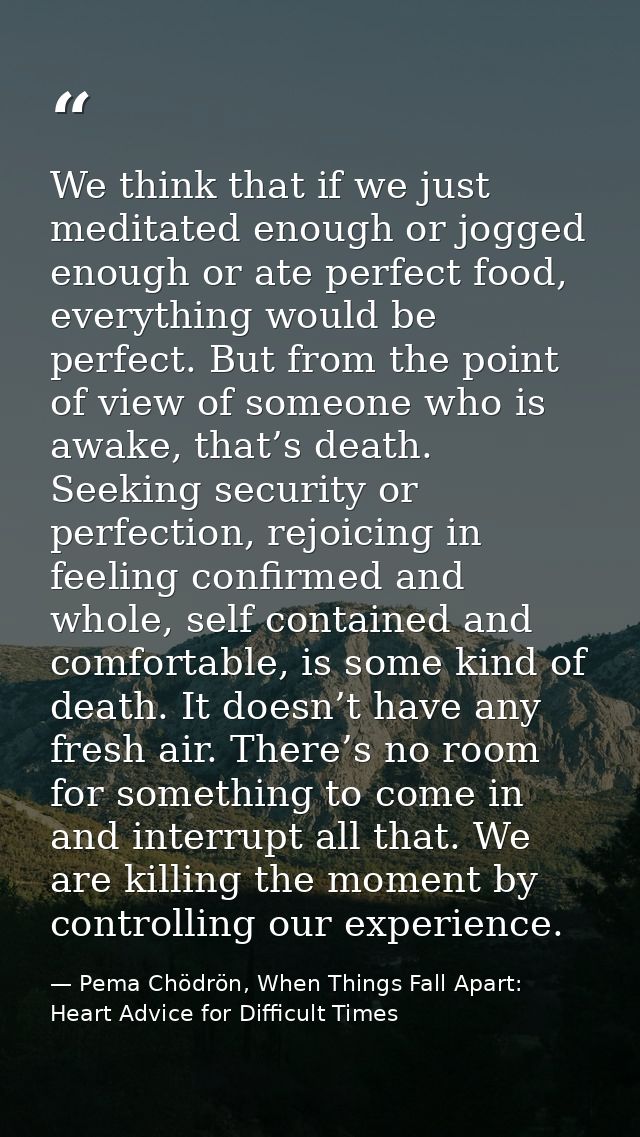 We think that if we just meditated enough or jogged enough or ate perfect food, everything would be perfect. But from th — Pema Chödrön, When Things Fall Apart: Heart Advice for Difficult Times