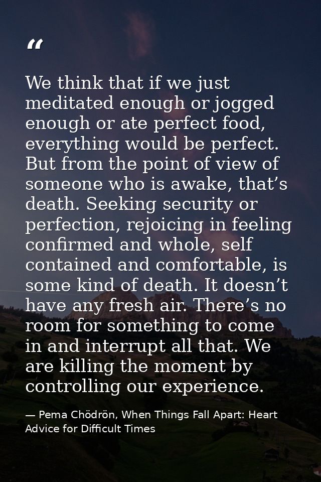 We think that if we just meditated enough or jogged enough or ate perfect food, everything would be perfect. But from th — Pema Chödrön, When Things Fall Apart: Heart Advice for Difficult Times