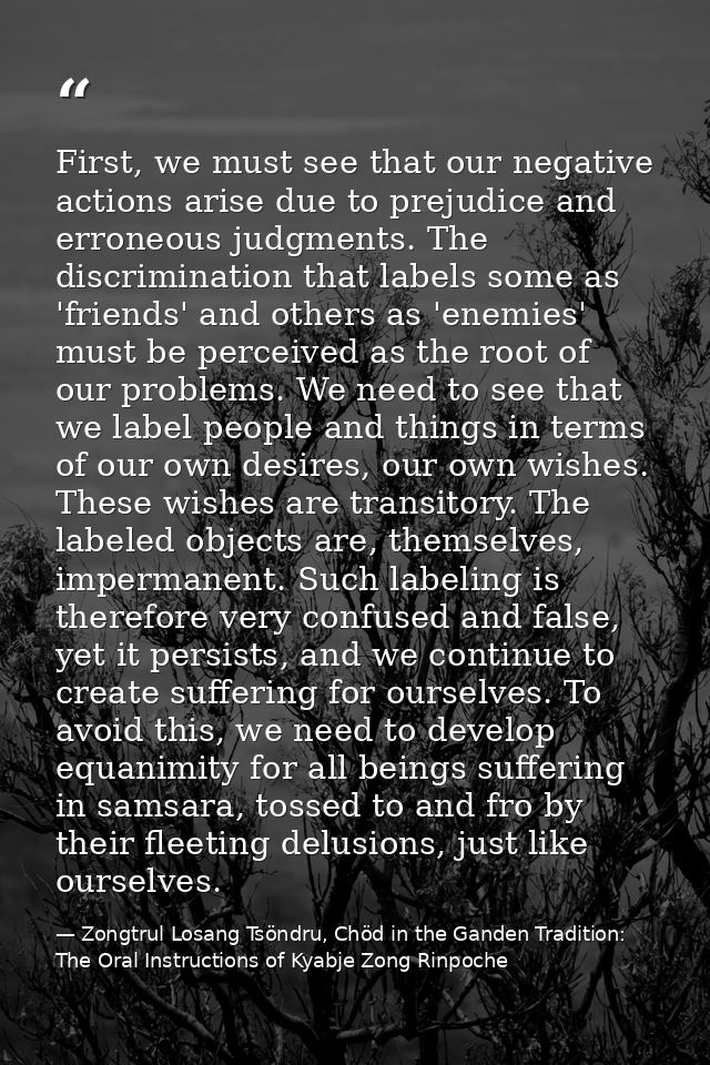 First, we must see that our negative actions arise due to prejudice and erroneous judgments. The discrimination that lab — Zongtrul Losang Tsöndru, Chöd in the Ganden Tradition: The Oral Instructions of Kyabje Zong Rinpoche