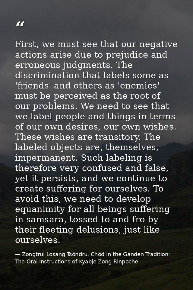 First, we must see that our negative actions arise due to prejudice and erroneous judgments. The discrimination that lab — Zongtrul Losang Tsöndru, Chöd in the Ganden Tradition: The Oral Instructions of Kyabje Zong Rinpoche