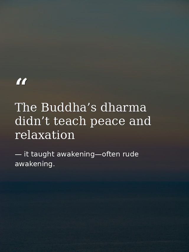 The Buddha’s dharma didn’t teach peace and relaxation — it taught awakening—often rude awakening.