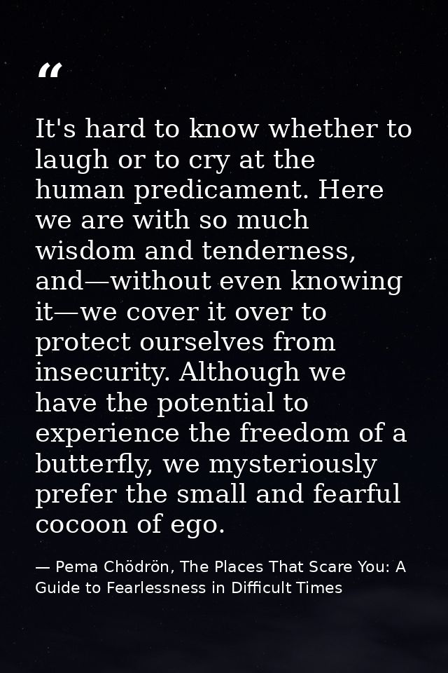 It's hard to know whether to laugh or to cry at the human predicament. Here we are with so much wisdom and tenderness, a — Pema Chödrön, The Places That Scare You: A Guide to Fearlessness in Difficult Times