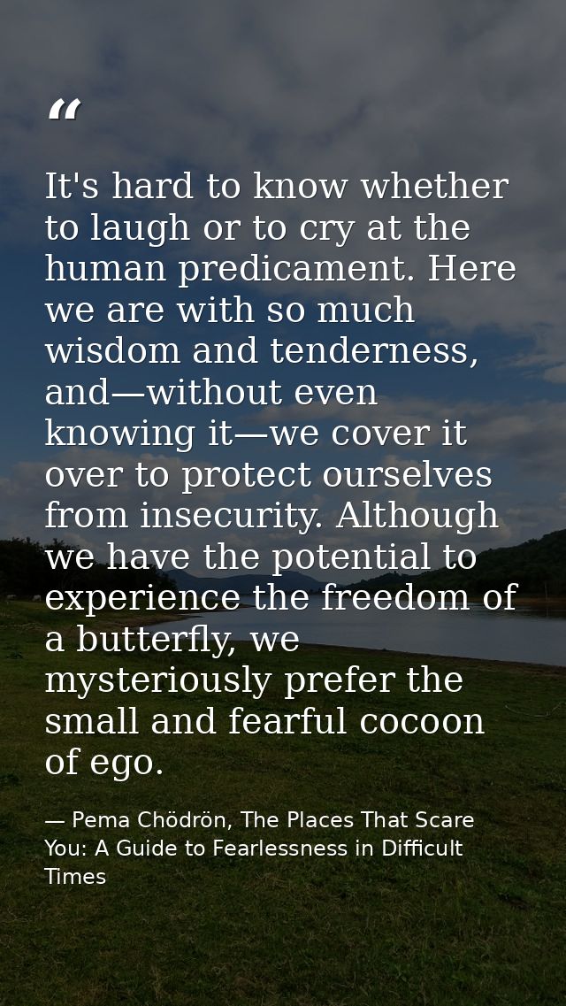 It's hard to know whether to laugh or to cry at the human predicament. Here we are with so much wisdom and tenderness, a — Pema Chödrön, The Places That Scare You: A Guide to Fearlessness in Difficult Times