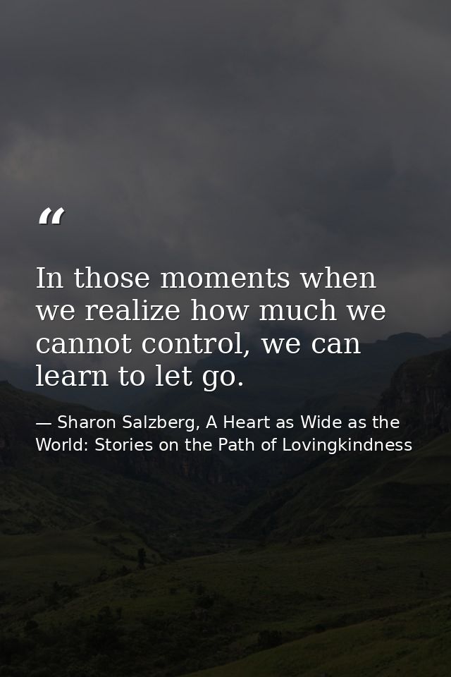 In those moments when we realize how much we cannot control, we can learn to let go. — Sharon Salzberg, A Heart as Wide as the World: Stories on the Path of Lovingkindness