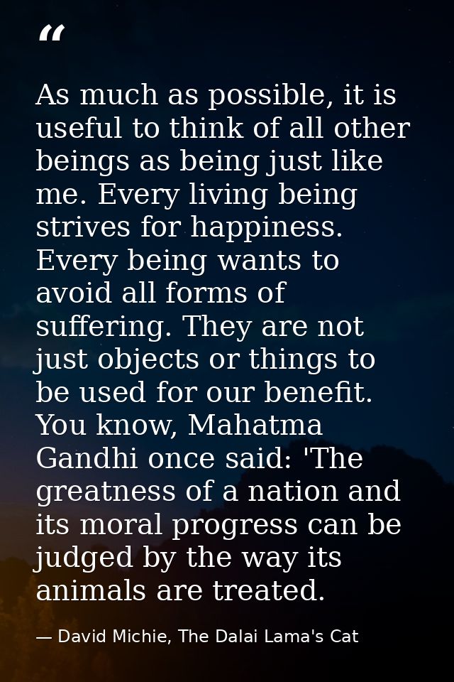 As much as possible, it is useful to think of all other beings as being just like me. Every living being strives for hap — David Michie, The Dalai Lama's Cat