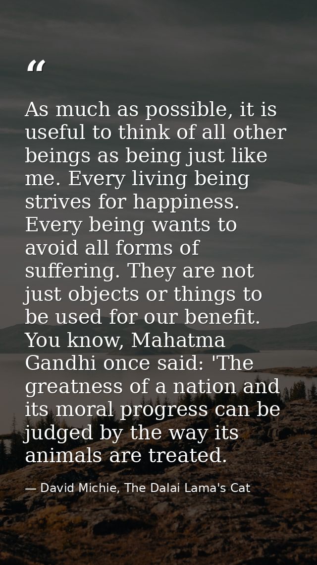 As much as possible, it is useful to think of all other beings as being just like me. Every living being strives for hap — David Michie, The Dalai Lama's Cat