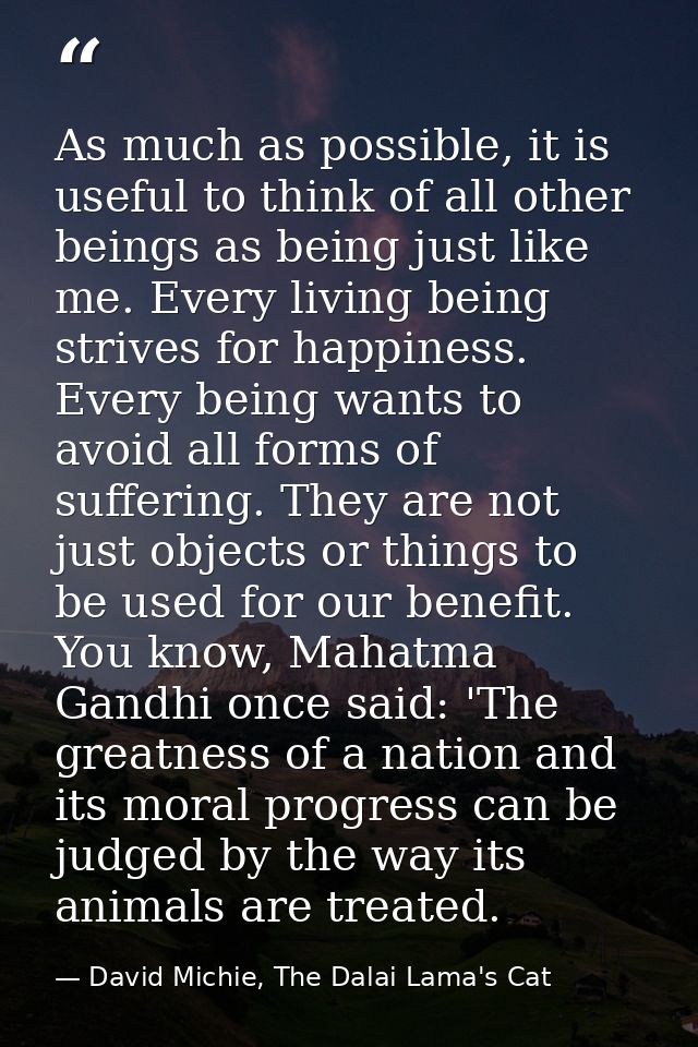 As much as possible, it is useful to think of all other beings as being just like me. Every living being strives for hap — David Michie, The Dalai Lama's Cat