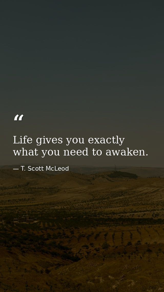 Life gives you exactly what you need to awaken. — T. Scott McLeod