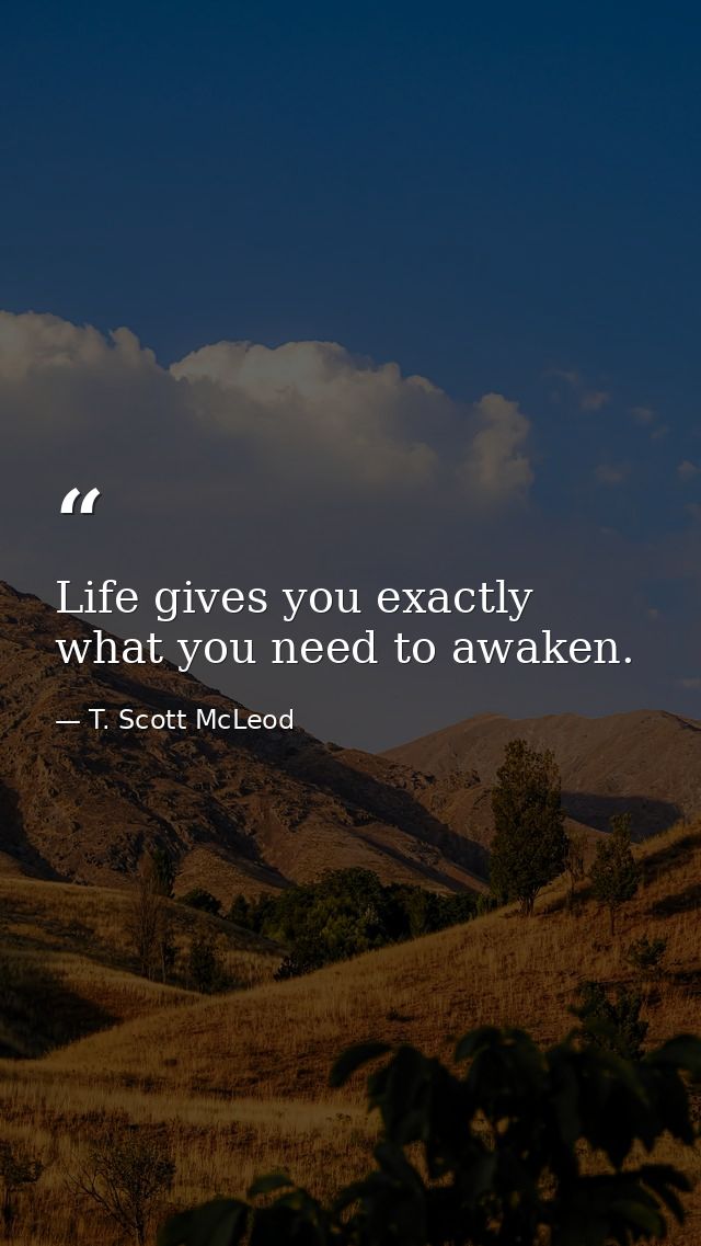 Life gives you exactly what you need to awaken. — T. Scott McLeod