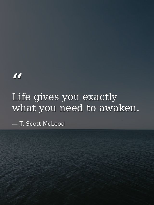 Life gives you exactly what you need to awaken. — T. Scott McLeod