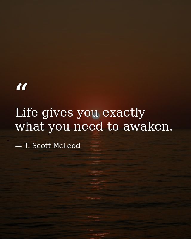 Life gives you exactly what you need to awaken. — T. Scott McLeod