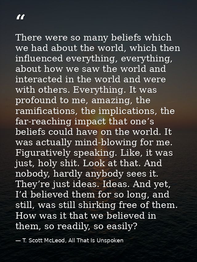 There were so many beliefs which we had about the world, which then influenced everything, everything, about how we saw  — T. Scott McLeod, All That Is Unspoken