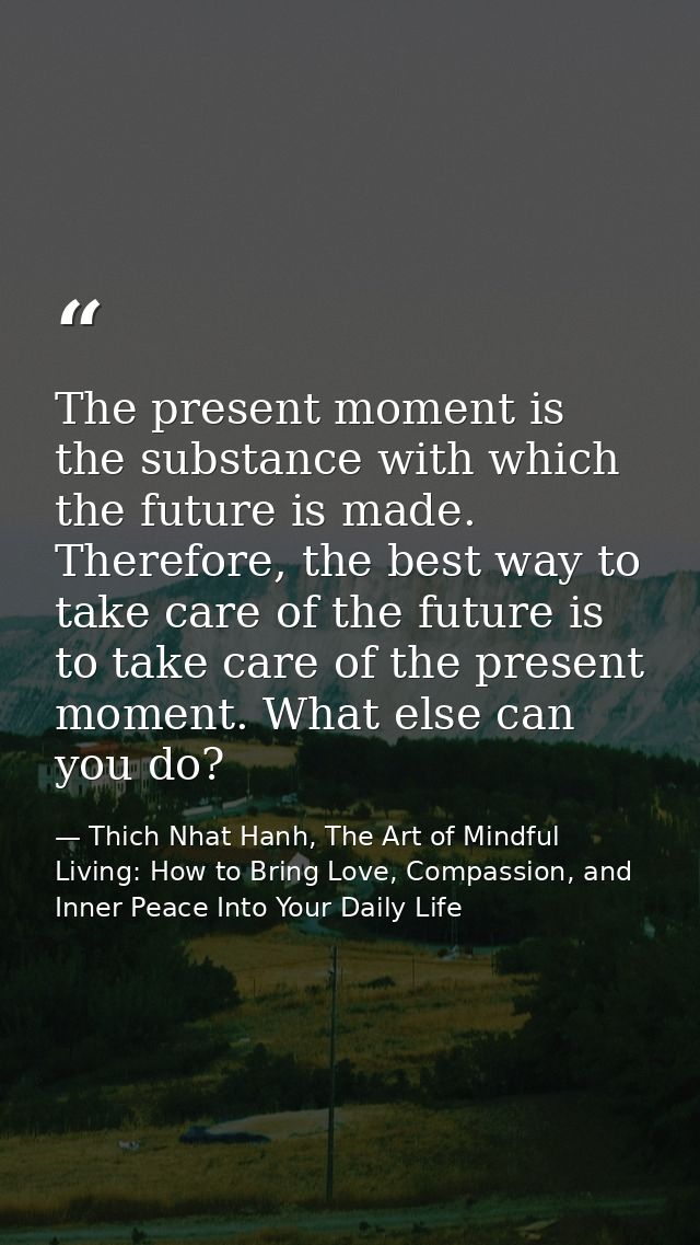 The present moment is the substance with which the future is made. Therefore, the best way to take care of the future is — Thich Nhat Hanh, The Art of Mindful Living: How to Bring Love, Compassion, and Inner Peace Into Your Daily Life