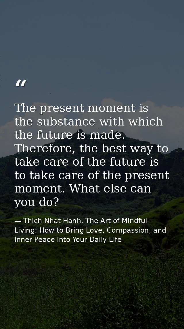 The present moment is the substance with which the future is made. Therefore, the best way to take care of the future is — Thich Nhat Hanh, The Art of Mindful Living: How to Bring Love, Compassion, and Inner Peace Into Your Daily Life