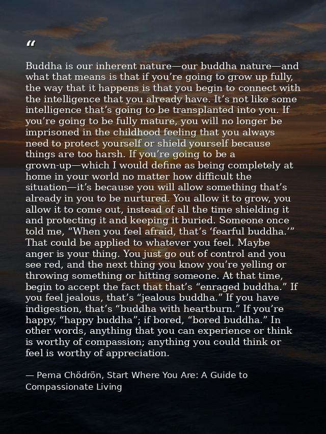 Buddha is our inherent nature—our buddha nature—and what that means is that if you’re going to grow up fully, the way th — Pema Chödrön, Start Where You Are: A Guide to Compassionate Living