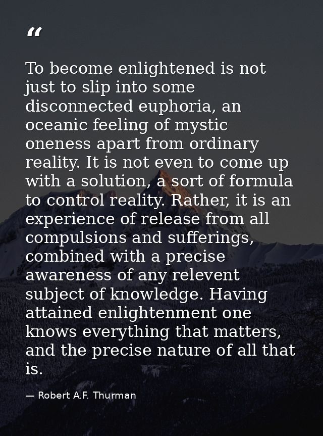 To become enlightened is not just to slip into some disconnected euphoria, an oceanic feeling of mystic oneness apart fr — Robert A.F. Thurman