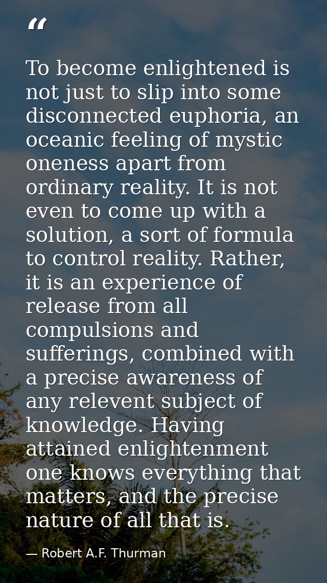 To become enlightened is not just to slip into some disconnected euphoria, an oceanic feeling of mystic oneness apart fr — Robert A.F. Thurman