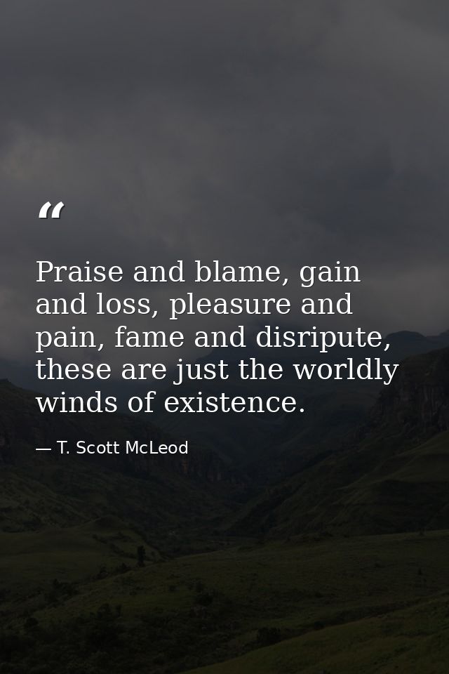 Praise and blame, gain and loss, pleasure and pain, fame and disripute, these are just the worldly winds of existence. — T. Scott McLeod