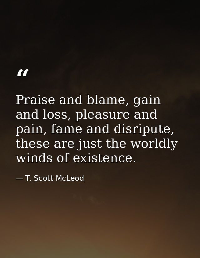Praise and blame, gain and loss, pleasure and pain, fame and disripute, these are just the worldly winds of existence. — T. Scott McLeod
