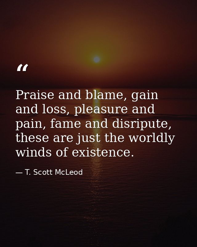 Praise and blame, gain and loss, pleasure and pain, fame and disripute, these are just the worldly winds of existence. — T. Scott McLeod