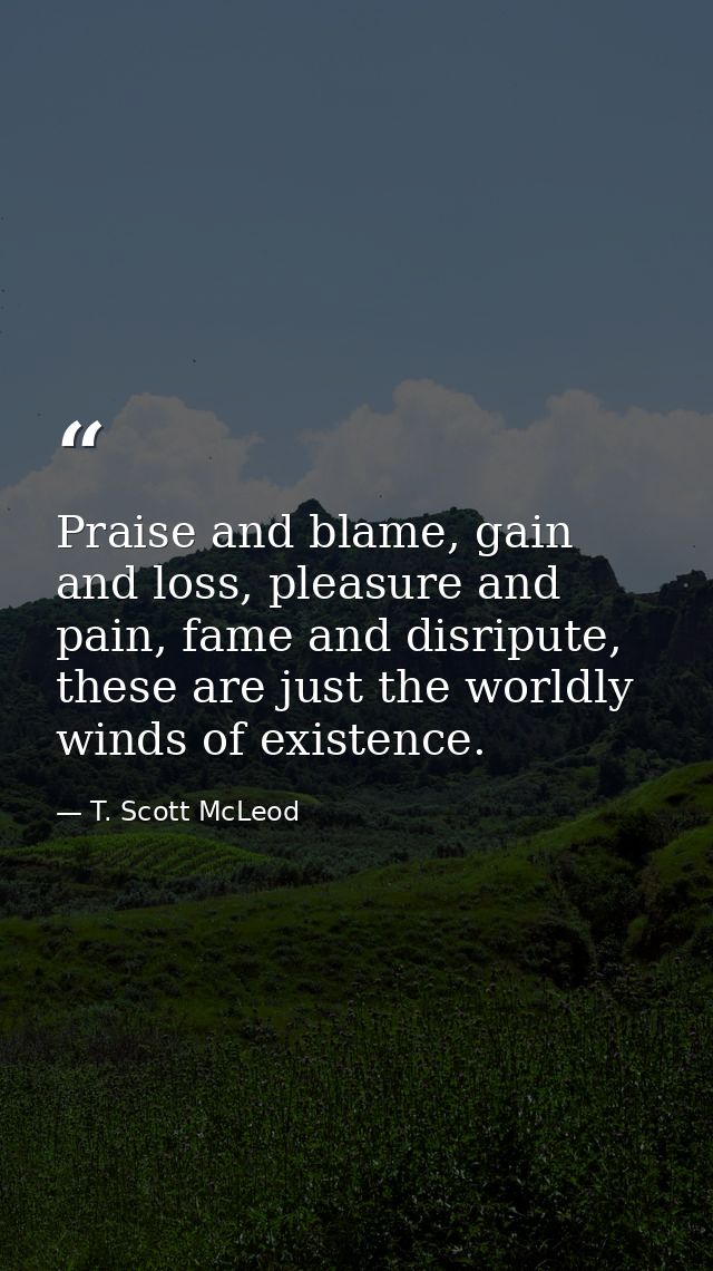 Praise and blame, gain and loss, pleasure and pain, fame and disripute, these are just the worldly winds of existence. — T. Scott McLeod