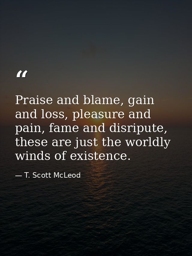 Praise and blame, gain and loss, pleasure and pain, fame and disripute, these are just the worldly winds of existence. — T. Scott McLeod