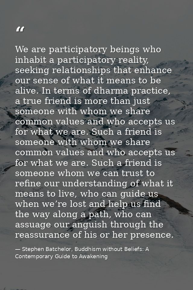 We are participatory beings who inhabit a participatory reality, seeking relationships that enhance our sense of what it — Stephen Batchelor, Buddhism without Beliefs: A Contemporary Guide to Awakening