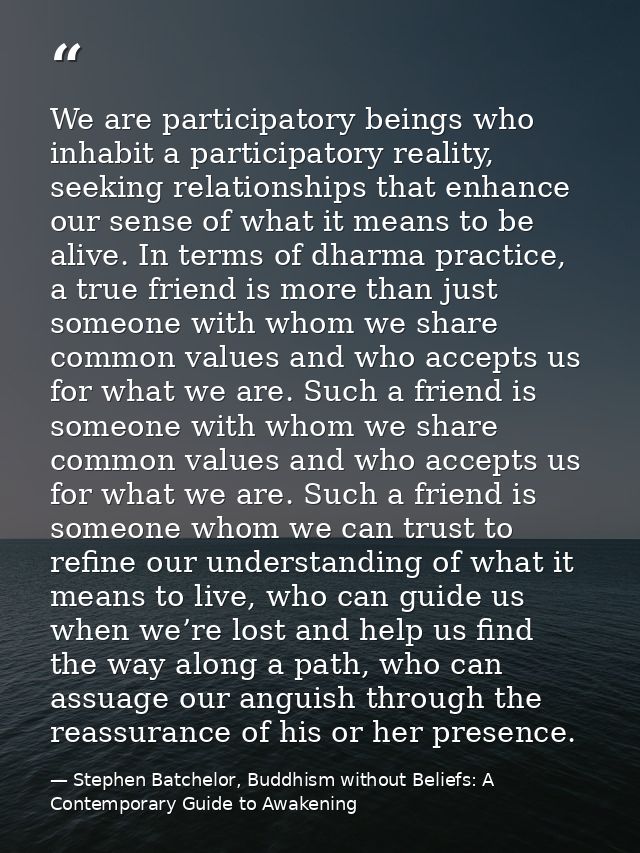 We are participatory beings who inhabit a participatory reality, seeking relationships that enhance our sense of what it — Stephen Batchelor, Buddhism without Beliefs: A Contemporary Guide to Awakening