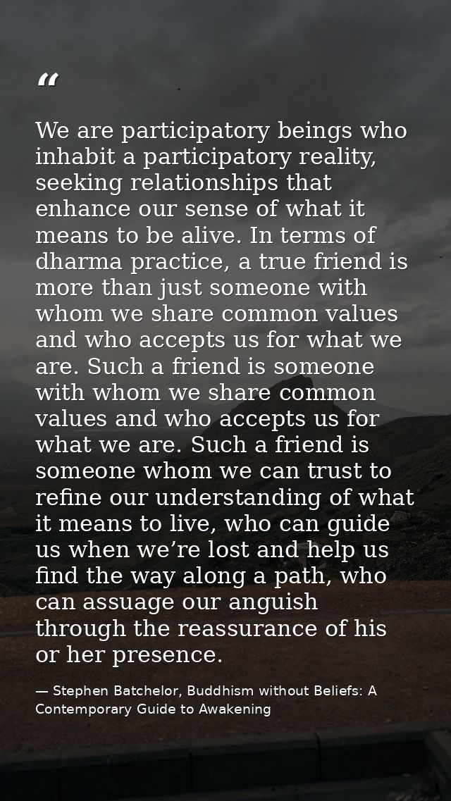 We are participatory beings who inhabit a participatory reality, seeking relationships that enhance our sense of what it — Stephen Batchelor, Buddhism without Beliefs: A Contemporary Guide to Awakening