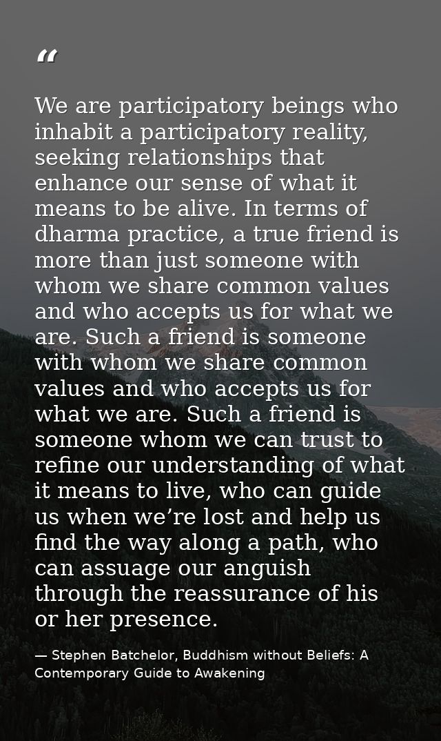 We are participatory beings who inhabit a participatory reality, seeking relationships that enhance our sense of what it — Stephen Batchelor, Buddhism without Beliefs: A Contemporary Guide to Awakening