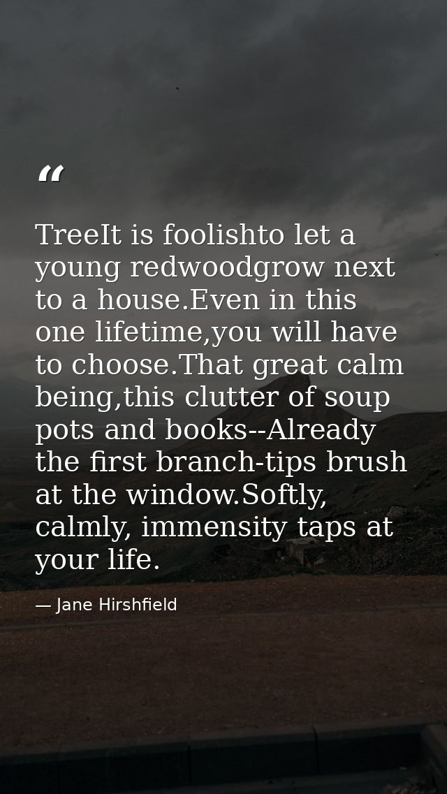TreeIt is foolishto let a young redwoodgrow next to a house.Even in this one lifetime,you will have to choose.That great — Jane Hirshfield