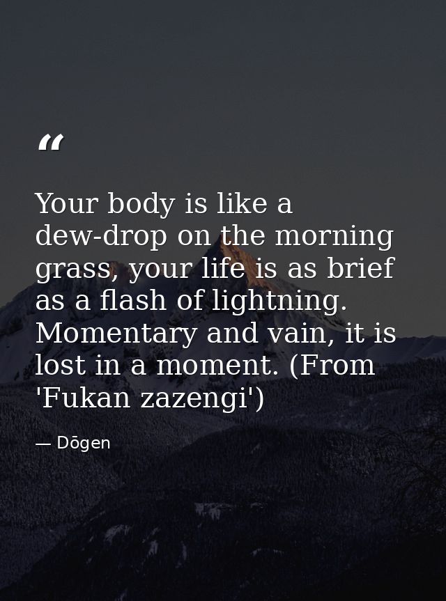 Your body is like a dew-drop on the morning grass, your life is as brief as a flash of lightning. Momentary and vain, it — Dōgen
