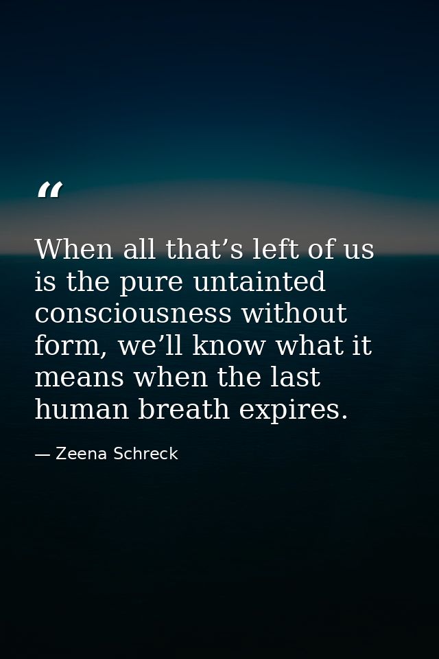 When all that’s left of us is the pure untainted consciousness without form, we’ll know what it means when the last huma — Zeena Schreck