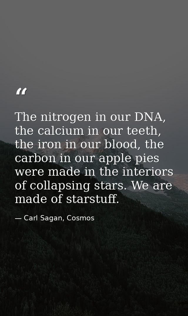 The nitrogen in our DNA, the calcium in our teeth, the iron in our blood, the carbon in our apple pies were made in the  — Carl Sagan, Cosmos