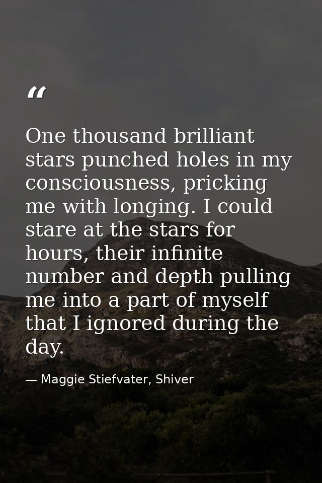 One thousand brilliant stars punched holes in my consciousness, pricking me with longing. I could stare at the stars for — Maggie Stiefvater, Shiver