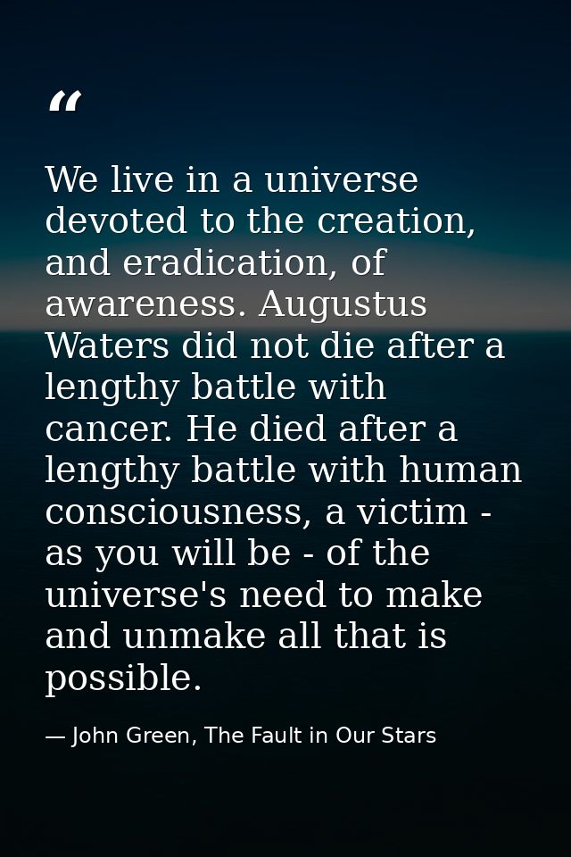 We live in a universe devoted to the creation, and eradication, of awareness. Augustus Waters did not die after a length — John Green, The Fault in Our Stars